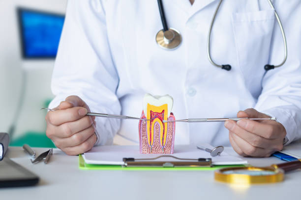 Best Emergency Broken Tooth Repair in Mineral Springs, AR